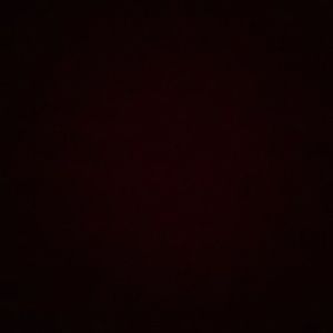 Meet your Posher, Sofia